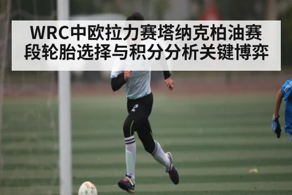 WRC中欧拉力赛塔纳克柏油赛段轮胎选择与积分分析关键博弈